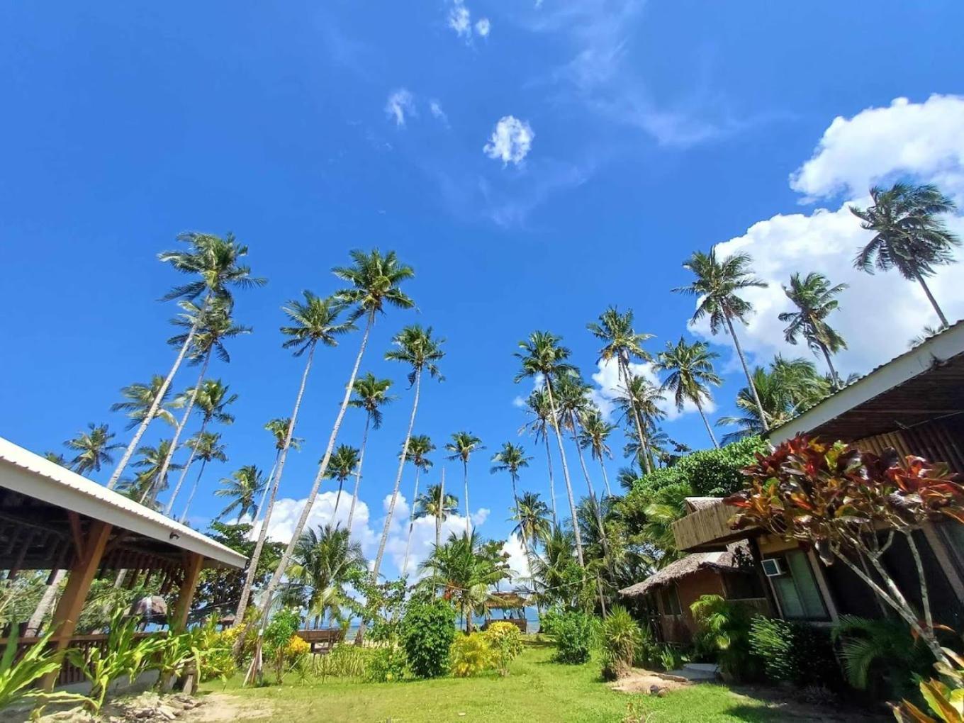 Amihan Beach Hostel 圣维森特 外观 照片