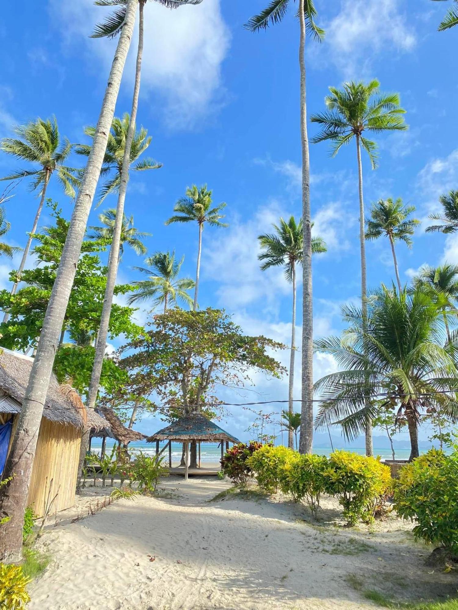 Amihan Beach Hostel 圣维森特 外观 照片