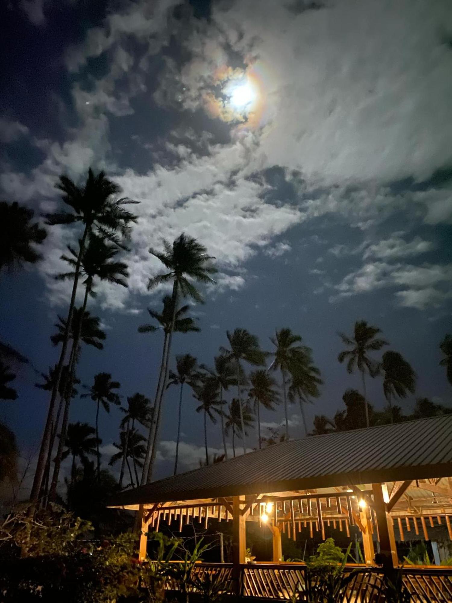 Amihan Beach Hostel 圣维森特 外观 照片