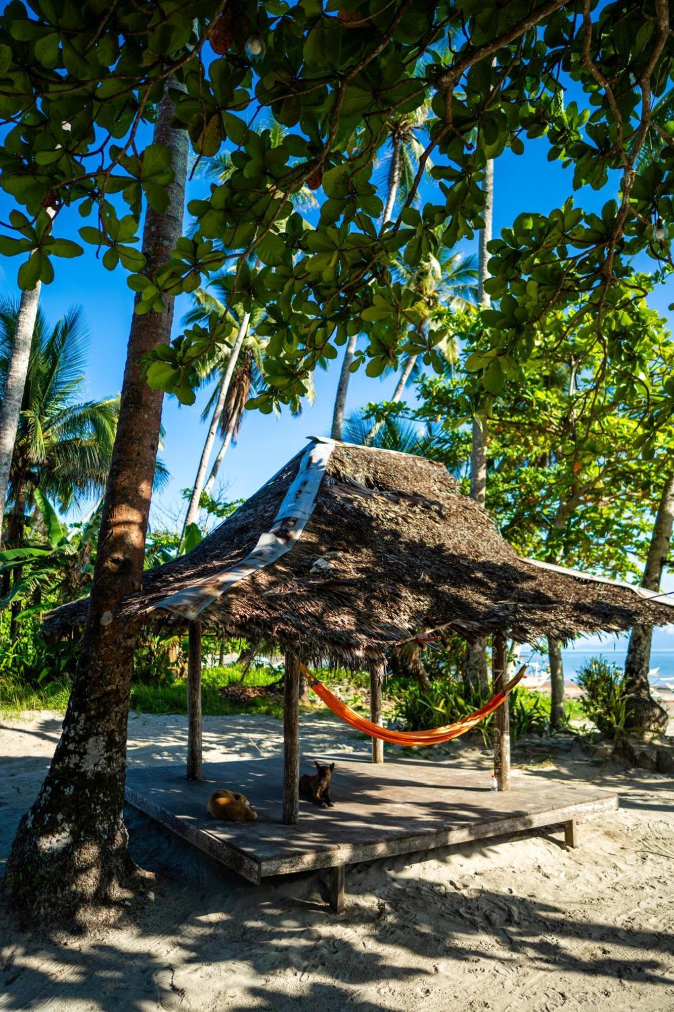 Amihan Beach Hostel 圣维森特 外观 照片