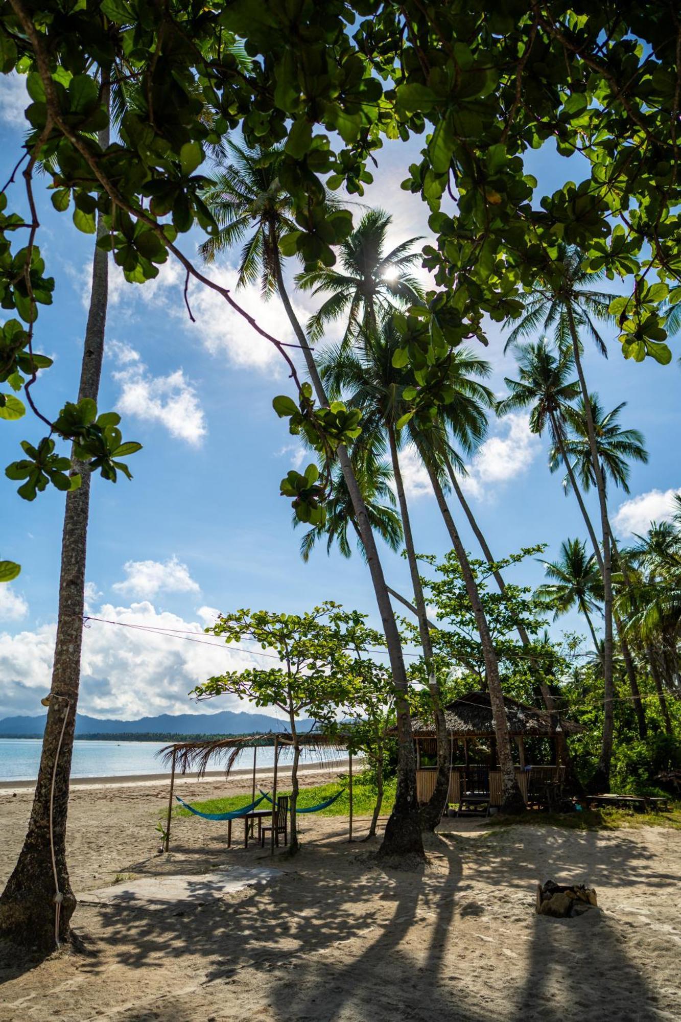 Amihan Beach Hostel 圣维森特 外观 照片