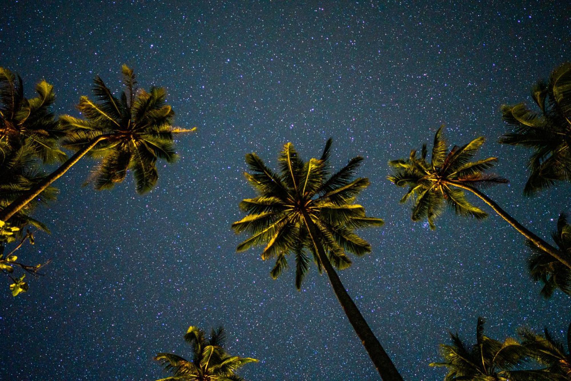 Amihan Beach Hostel 圣维森特 外观 照片